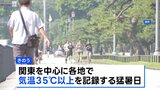 17日は関東中心に各地で「猛暑日」　高齢女性4人が“熱中症”で死亡　神奈川・埼玉・群馬・静岡|TBS NEWS DIG