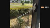 岐阜市内で“公民館荒らし”相次ぐ 現金あわせて7万円余りが盗まれる 1階のガラスは割られ… 同一犯か | 名古屋・愛知・岐阜・三重のニュース【CBC news】 | CBC web