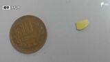 学校給食にまた異物混入、今度はカレーにプラスチック片 前週にはガラス片混入も=浜松市 | 静岡のニュース | SBSNEWS | 静岡放送