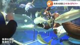 トナカイダイバーの餌付け 魚津水族館でクリスマスイベント 富山・魚津市 | 富山のニュース|天気・防災|チューリップテレビ