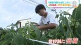 「中山間地域の畑を大切にしたい」JA正会員の中学3年生の思い【SDGs】|TBS NEWS DIG