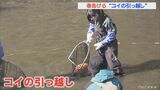池で冬を越した1000匹の鯉が5か月ぶりの里帰り ブルーシートを張ったトラックに乗せて 観光名所 飛騨市古川町 | 名古屋・愛知・岐阜・三重のニュース【CBC news】 | CBC web