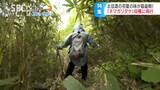 旬を迎えたネマガリダケ「名人」が教える見つけ方と遭難を防ぐワザとは 天ぷらやタケノコ汁も 村をあげて採れたてを楽しむ「タケノコ街道」キャンペーン | SBC NEWS | 長野のニュース | SBC信越放送