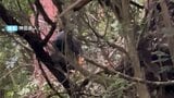 中国四国の関係省庁がクマ被害防止に向け会議 岡山県内の今年のクマ出没件数は43件 記録が残る2001年以降最多に|TBS NEWS DIG