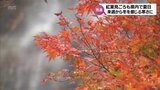 五ヶ瀬町の白滝では紅葉が見頃も 宮崎県内では夏日を観測 来週は冬を感じる寒さに | MRTニュース | MRT宮崎放送