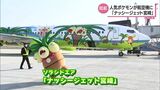 ポケモンとソラシドエアがコラボ 「ナッシージェット宮崎」が就航 | MRTニュース | MRT宮崎放送