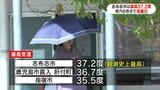 志布志市で観測史上最高の37.2度　高気圧に覆われ県内8地点で猛暑日　鹿児島　|　鹿児島のニュース｜MBC NEWS｜南日本放送