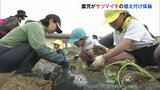 「焼いて食べたい」保育園児がサツマイモの苗植え体験 秋に収穫へ 福島 | 福島のニュース│TUF