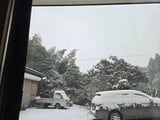 積雪で国道など通行止め　海の便に欠航便|TBS NEWS DIG