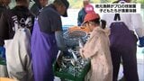 延岡市の小学生が漁業体験　地域の産業や故郷の海について学ぶ|TBS NEWS DIG