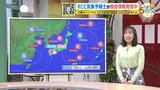 【2月10・11日 土日の天気】土曜の日中は晴れ 日曜はやや不安定であちこちにわか雨や雪 来週は春本番の陽気で花粉飛散も一気に本格化|TBS NEWS DIG