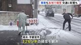 東京都心でも5cmの積雪観測　関東各地で雪　宇都宮市では朝から雪かき　衆議院選挙の投票や大学入試も実施|TBS NEWS DIG
