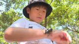 500匹のカブトムシが放し飼い「昆虫王国」大勢の子どもたちでにぎわう|TBS NEWS DIG