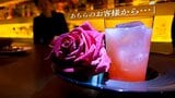 あの定番シーン「あちらのお客様からです」、実はバー(bar)では“マナー違反”? 老舗バーが教える「大人の社交場」のホントの世界|TBS NEWS DIG