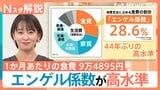 エンゲル係数が高水準！食費増は「圧迫された家計」の表れか？消費からみえる鳥取の“カレー愛”【Nスタ解説】|TBS NEWS DIG