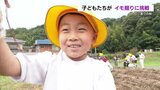 「一生分の焼き芋ができる」土をかき分け秋のお宝探し!有明小学校の子どもたちが芋掘りに挑戦 熊本 | 熊本のニュース|RKK NEWS|RKK熊本放送