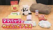 キーワードは『日常の中に防災』子育て中のママさん妊婦さんも安心 備えておきたい家庭の便利グッズ|TBS NEWS DIG