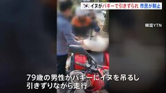 韓国・大邱で犬がバギーで引きずられる…目撃した市民達が制止| TBS CROSS DIG with Bloomberg