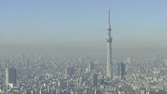 11月の消費支出+2.9%　2か月ぶりのプラス　消費に持ちなおしの動き| TBS CROSS DIG with Bloomberg