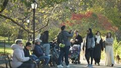 アメリカ11月雇用統計 予想上回る+19.9万人 FRBは金利据え置きの見方広がる| TBS CROSS DIG with Bloomberg