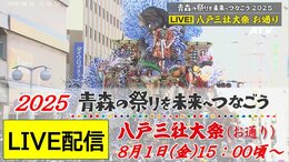 【見逃し配信中!8月1日(金)LIVE】「八戸三社大祭・お通り」巧みな仕掛けで飛び出す!豪華絢爛な山車が市街地を練り歩く~青森の祭りを未来へつなごう2025|TBS NEWS DIG