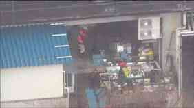 【午後3時50分】体長1ｍメートルのクマ「緊急銃猟」で駆除　温泉街の旅館敷地内で生ゴミ漁り居座る　仙台|TBS NEWS DIG