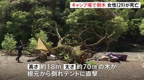 【速報】キャンプ場で倒木　テントで寝ていた29歳の女性が下敷きになり死亡　「根腐れ」が原因か|TBS NEWS DIG