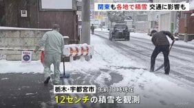 東京都心でも5cmの積雪観測　関東各地で雪　宇都宮市では朝から雪かき　衆議院選挙の投票や大学入試も実施|TBS NEWS DIG