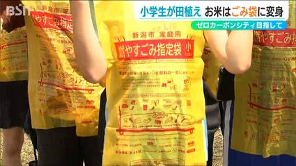 小学生が植えた資源米がCO2の排出少ない バイオマス プラスチック製 のごみ袋に 新潟 新潟のニュース・天気 BSN NEWS BSN新潟放送
