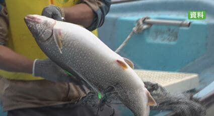 この水深でさし網をかけることで駆除につながる可能性」外来魚レイク
