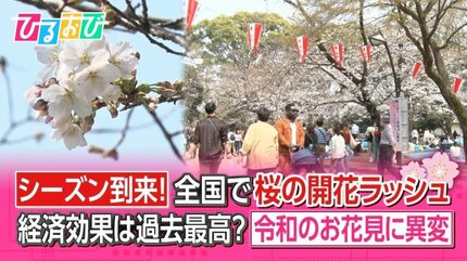1人でお花見”3割 “歩きながら”が7割超え！？令和の花見に異変！最新お