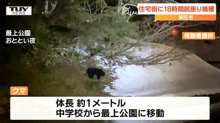 まさかこんな街中に」クマはこうして捕獲された…新庄市のクマ