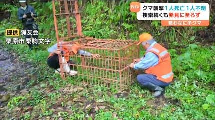 爆竹”鳴らすも不明女性クマに襲われたか発見に至らず 専門家「クマは首