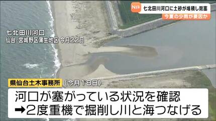 生物の楽園“干潟”が少雨でピンチ 河口が土砂でふさがる「長引けば生態