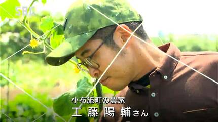 猛暑や少雨で農家も困った！定期的な水やりや刈った草を通路に 農家の