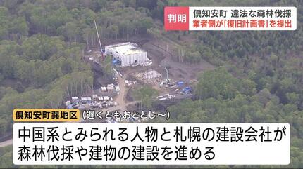 羊蹄山麓の違法森林伐採 「悪質性がある」知事が苦言 2年前から中国系