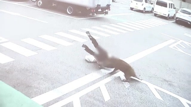 ｢飛びかかるように乗っていた｣ イノシシに襲われ50～80代の男性4人ケガ 突進してくる様子が防犯カメラに… 愛知･豊田市　|　名古屋・愛知・岐阜・三重のニュース【CBC news】 | CBC web