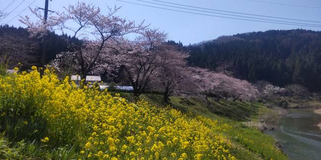 「復旧・復興への歩み着実に」　石川県輪島市町野町出身のシナリオライターが見つめる“ふるさと”の今|TBS NEWS DIG