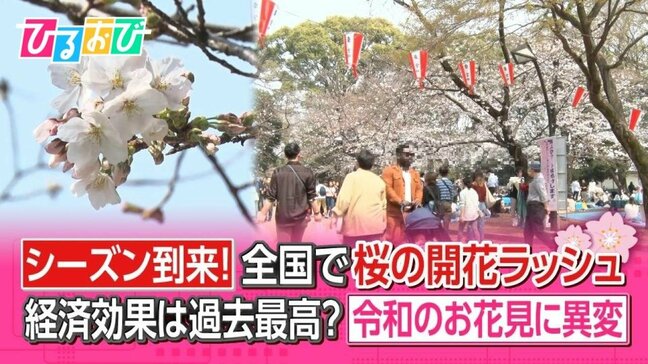 “1人でお花見”3割 “歩きながら”が7割超え！？令和の花見に異変！最新お花見事情【ひるおび】|TBS NEWS DIG