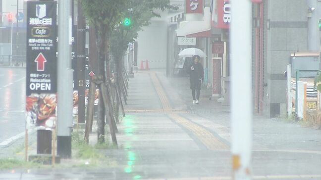 久しぶりのまとまった雨　落雷や竜巻などの激しい突風に注意　農家にとっては恵みの雨に　大分|TBS NEWS DIG
