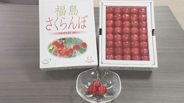 「甘くておいしい最高ですね」　福島県・内堀知事に収穫最盛期のサクランボ贈呈|TBS NEWS DIG