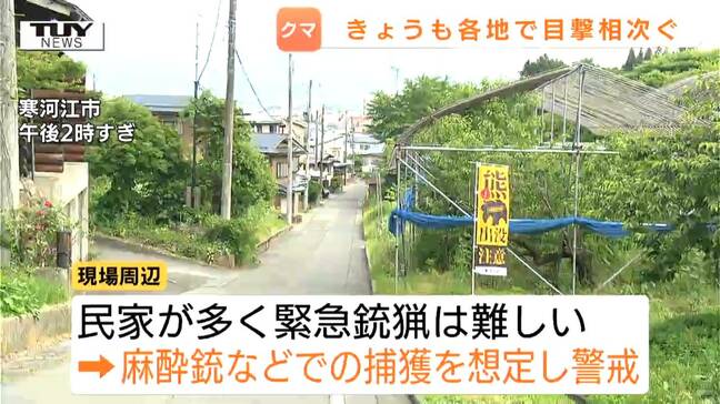 住宅街周辺でクマ目撃相次ぐ 麻酔銃での捕獲も想定しドローンで捜索も、捕獲に至らず 交通規制など警戒続く(山形・寒河江市)|TBS NEWS DIG