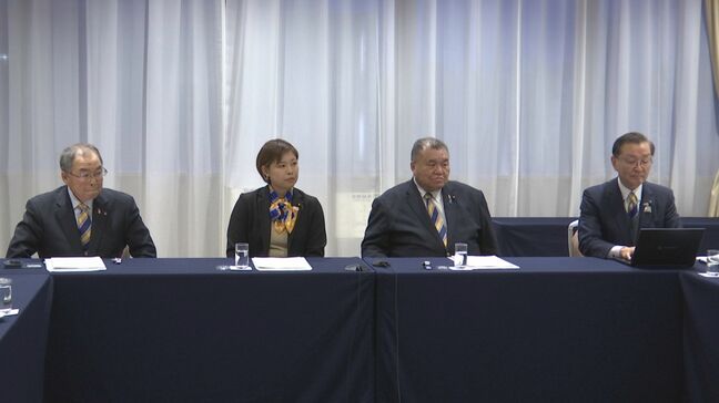 国民民主党岩手県連、初の国会議員・佐々木真琴氏を副代表に　2区支部長にも起用へ　比例復活受けて東北各県と連携も|TBS NEWS DIG