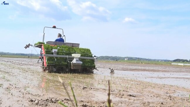 岩手県内の田植え進捗率は20日現在で68% おおむね適期で進む|TBS NEWS DIG