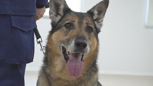 「余生はゆったり のんびり 穏やかに」警察犬「キューラ号」退任式 8年間で300件以上の事件や行方不明者の捜索に出動 山梨県警|TBS NEWS DIG