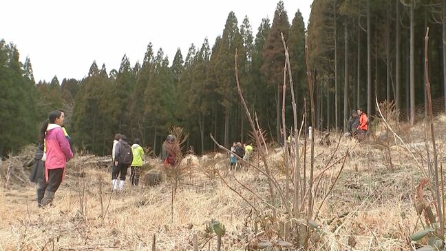 「ソラシドの森」が環境省の自然共生サイトに認定　大分・日田市|TBS NEWS DIG