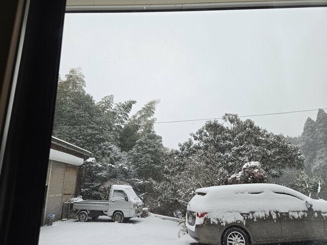 積雪で国道など通行止め　海の便に欠航便|TBS NEWS DIG