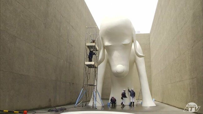 『あおもり犬』が年に1度の“水浴び”　きれいさっぱりで“ワン”ダフルな白さに　青森県立美術館|TBS NEWS DIG