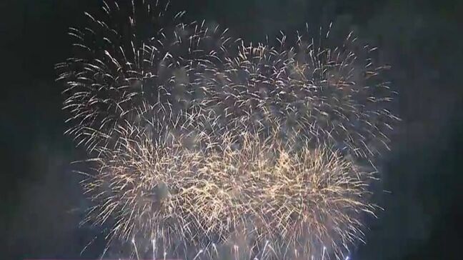 「晴れ風アクション」で存続が危ぶまれる花火大会を支援　浅口市で1日夜「あさくち花火大会」3,000発を打ち上げ【岡山】|TBS NEWS DIG