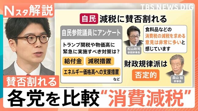 “消費減税”はポピュリズムか？有効な物価高対策か？ 各党を比較 財源どこから？【Nスタ解説】|TBS NEWS DIG